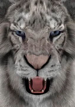White tiger head angry Stock Illustration