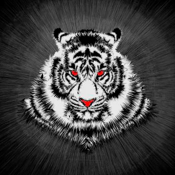 White tiger head Illustrazione stock