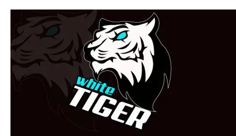 White tiger Illustration