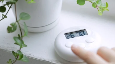 White timer on the kitchen near plant Vidéo 119821844