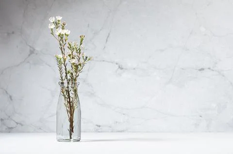 White tiny flowers on branch of bloom tree in glass bottle in modern interior Stock Photos