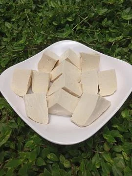 White Tofu Foto stock