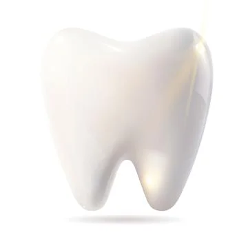 A white tooth casting a subtle shadow on a pristine white background Stock Illustration
