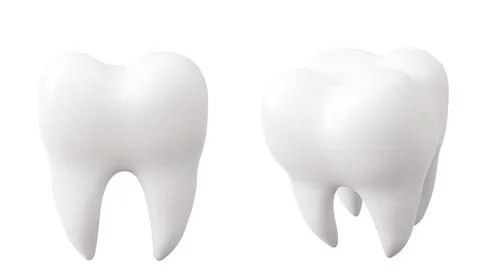 White tooth realistic 3d models Stock Illustration