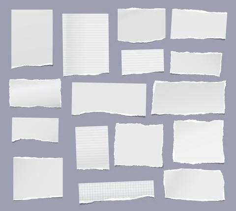 White torn, lined and blank note, notebook paper are on light blue background Stock Illustration