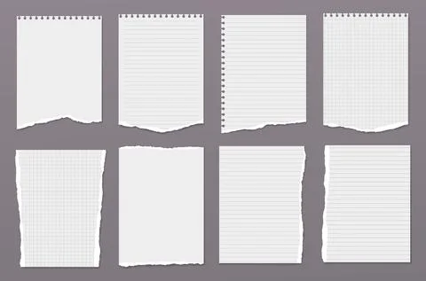White torn, lined and blank note, notebook paper are on dark grey background for Stock Illustration