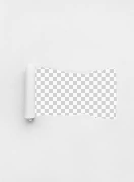 White Torn Paper Background Stock Photos