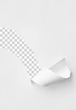 White Torn Paper Background Stock Photos