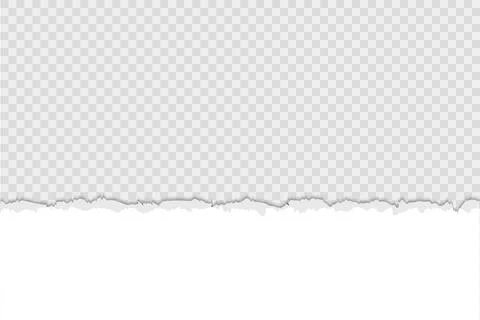 White torn paper down on horizontal page. Scrapbook ripped edges paper Stock Illustration