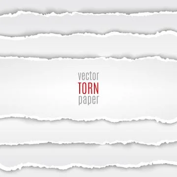 White torn paper Stock Illustration