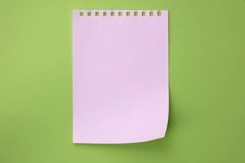 White torn sheet of notebook on light green background, top view. Stock Photos