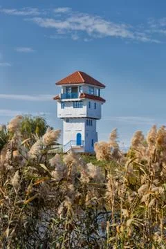White tower from the delta Stock Photos