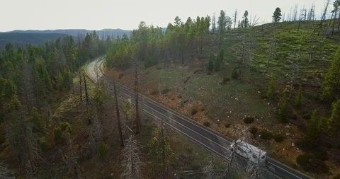 White trailer that rides on the highway through a green pine forest Video stock 118643176