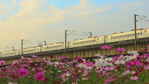 White train passing through cement viaduct landscape under blue sky. Stock Footage 278282800