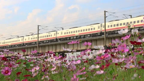 White train passing through cement viaduct bridge landscape under blue sky. Video stock 280249961