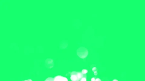 White Transparent Bubbles Green Screen Background bubbles chroma key template Stock Footage 321638200