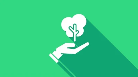 White Tree in hand of environmental protection icon isolated on green background Stock Footage 146741257