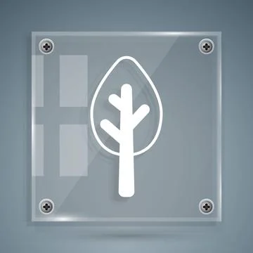 White Tree icon isolated on grey background. Forest symbol. Square glass panels Stock Illustration