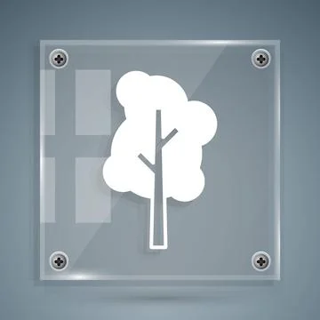 White Tree icon isolated on grey background. Forest symbol. Square glass pa.. Stock-Illustration