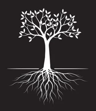 White Tree with Leaves on black background. Vector outline Illustration. Illustrazione stock