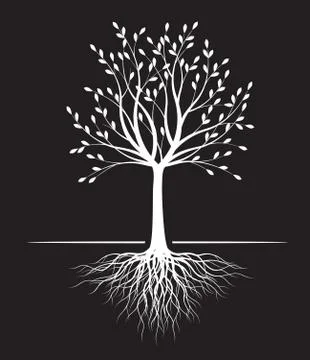 White Tree with Leaves on black background. Vector outline Illustration. Plan 스톡 일러스트