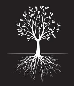 White Tree with Leaves on black background. Vector outline Illustration. Plan Stock Illustration