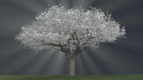 White tree with rays of light Stock Footage 158756688