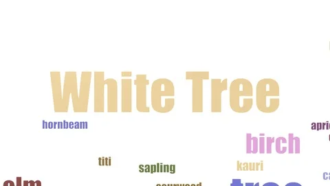 White Tree Wordcloud Animated Isolated On White Stock Footage 103664711
