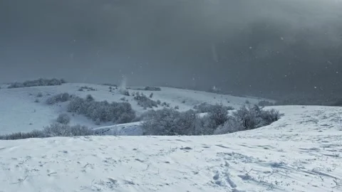 White trees covered with snow. Snow falls from the snowy trees Stock Footage 149040250