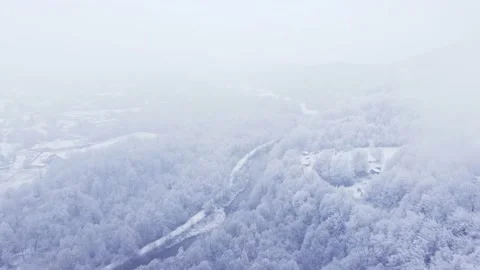 White trees towering over a pristine landscape. December nature. Outdoor tones Stock Footage 224882905