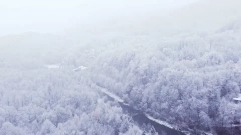 White trees towering over the pristine landscape dividing the river. December na Stock Footage 224884614