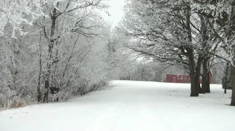 White Trees in Winter With Red Barn Видео 11082272