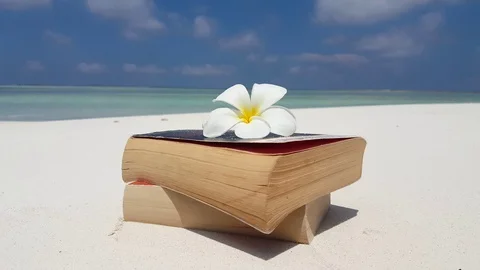 White tropical flower lying over two thick books read during vacation Stock Footage 119574761