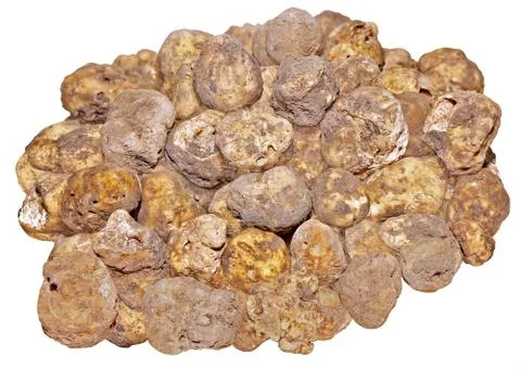 White truffles Stock Photos