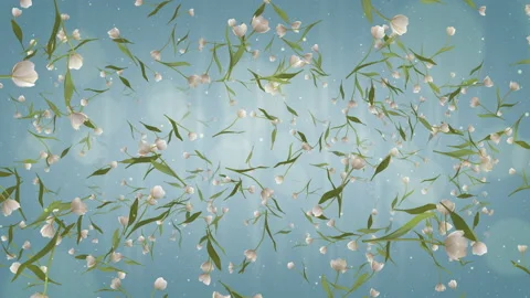 White Tulip Video stock 228523086