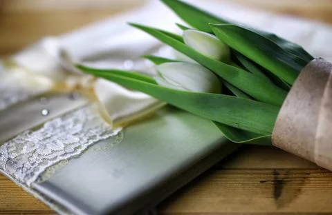 White tulip lace book various vintage elements on old worn backgrounds dif... Stock Photos