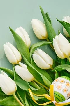 White tulips and easter eggs on green pastel background. Floral image with .. Stock Photos
