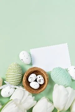 White tulips and Easter eggs on mint background with blank card Stock Photos