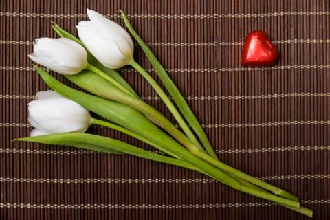 White tulips Stock-Fotos