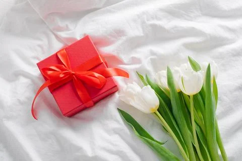 White tulips, red gift box on bed. Still life, Minimal concept. Womans day,.. Stock Photos