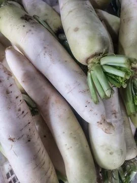 White turnip, vegetable Stock Photos