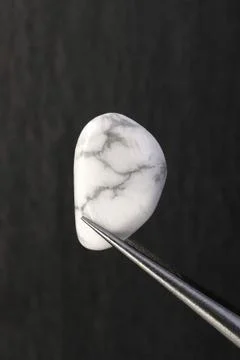 White turquoise jewel stone texture in tweezers on black wood background. Mac Foto stock