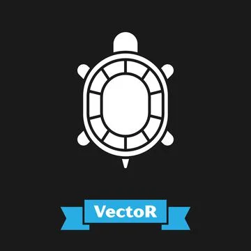 White Turtle icon isolated on black background. Vector Stock Illustration