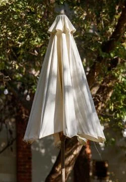 A white umbrella is standing in front of a tree Photos