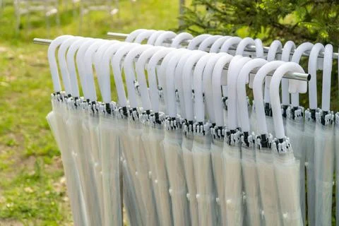 White umbrellas in a folded willow hang in the park. Stock Photos