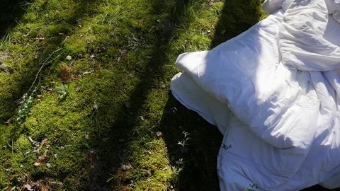 A white uncovered bed is in the middle of a pine forest. Stock Footage 117000086