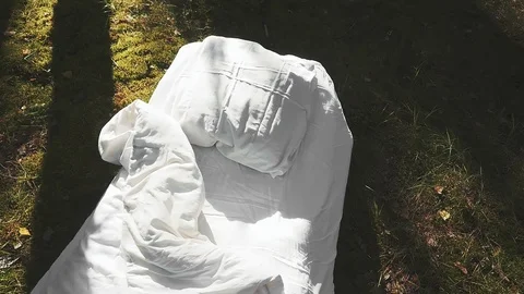 A white uncovered bed is in the middle of a pine forest. Stock Footage 117000135