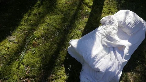 A white uncovered bed is in the middle of a pine forest. Stock Footage 117000164