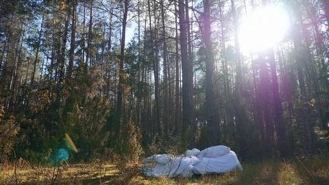 A white uncovered bed with pillows in the middle of a forest. Stock Footage 117725516