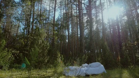A white uncovered bed with pillows in the middle of a forest. Stock Footage 117725673
